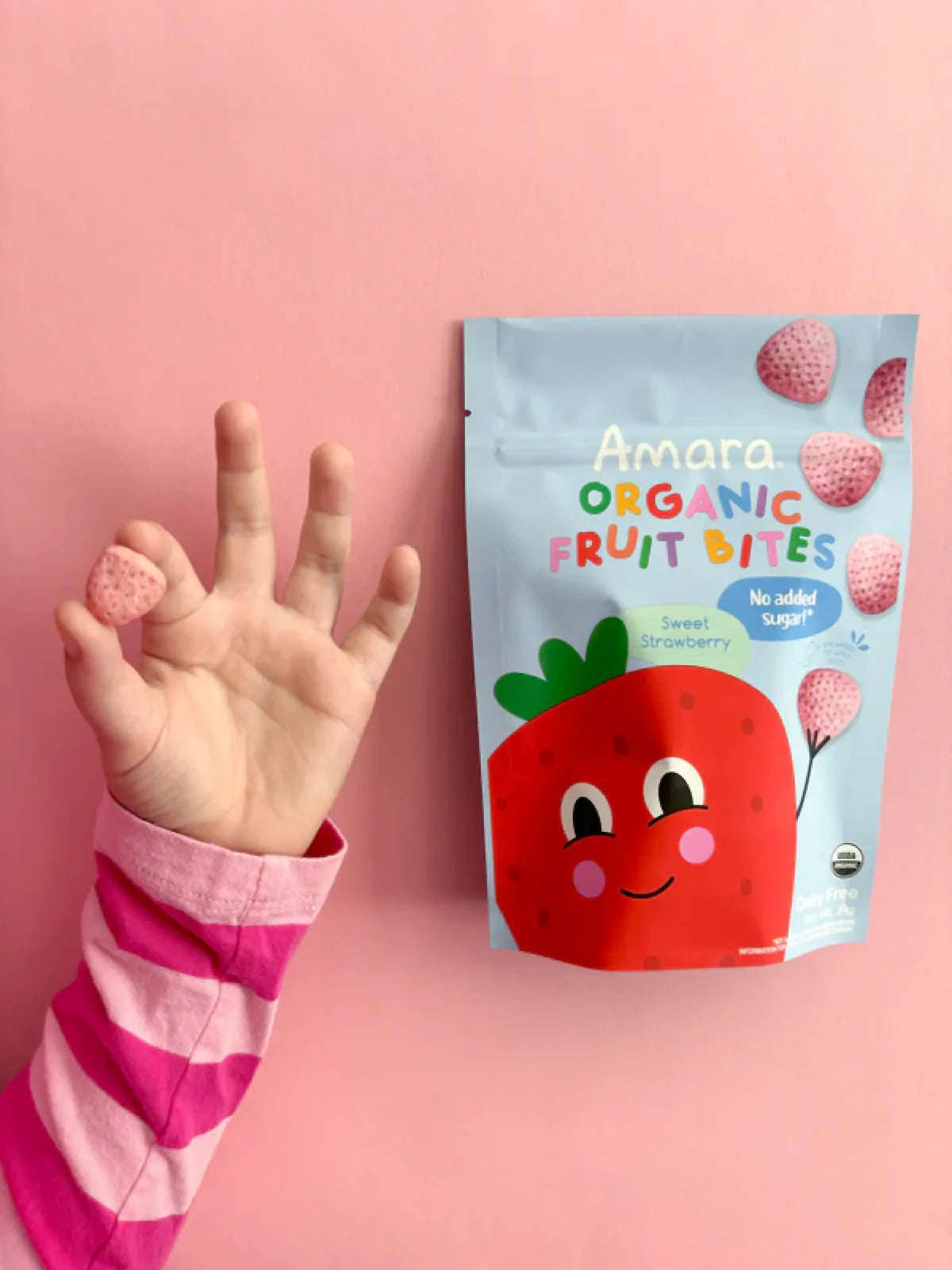 Organic Strawberry Fruit Bites
